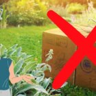 Pokemon GO'daki En İmkansız 10 Araştırma Görevi Creo Gaming