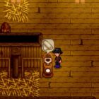 Stardew Valley'de Kumaş Nasıl Alınır: Temel İpuçları ve Tavsiyeler How To Get Cloth In Stardew Valley