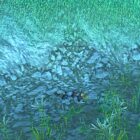 WoW'da hardcore mod için en iyi sınıflar Creo Gaming
