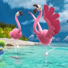 Pokemon GO: Carnival of Flamigo
