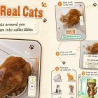 Mobil Oyun Sürprizi: Yeni bir kedi toplama oyunu Pokémon Go hayranlarını büyülüyor! Pokémon Go Fans Need To Try This Free Cat-Collecting Mobile Game