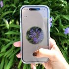 This flower identification app turns every walk into Pokémon Go for plants